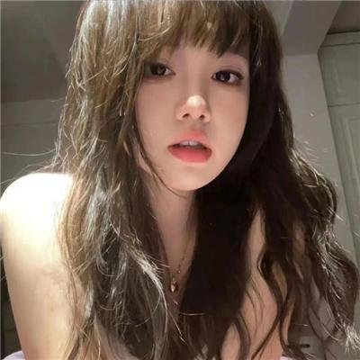 富贵吉娃娃